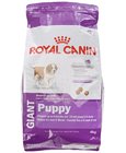 ROYAL CANIN GIANT PUPPY 4 KG