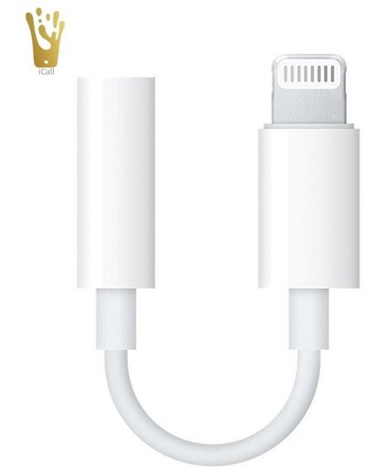 In-Ear Koptelefoon 3.5mm Audio Jack Female naar Apple Lightning Male (Adapter) - voor Apple iPhone 7 / 6 / 5 /4 + voor Apple iPad 2017 / 2 / 3 / 4 / Mini / Pro (9,7 + 12,9)
