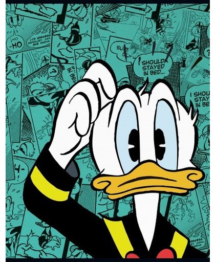 Disney schrift Donald Duck A5 gelijnd 3 stuks