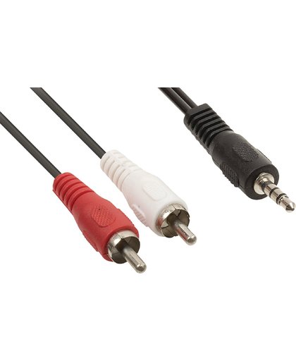 ACT Verloop kabel 3.5 mm jack male - 2x tulp male