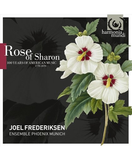 Rose Of Sharon