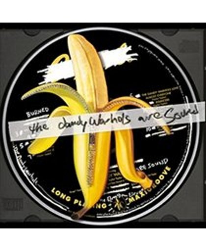 The Dandy Warhols Are Sound
