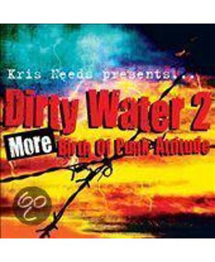 Dirty Water, Vol. 2: More Birth of Punk Attitude