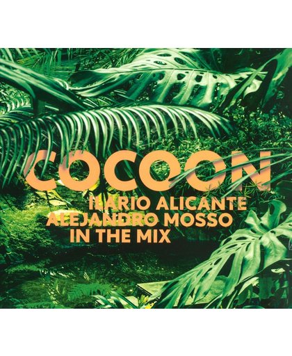 Cocoon Ibiza 2013