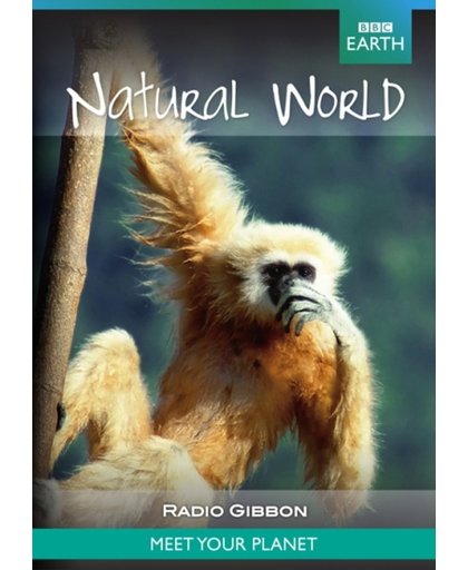 NATURAL WORLD COLLECTION: RADIO GIBBONS