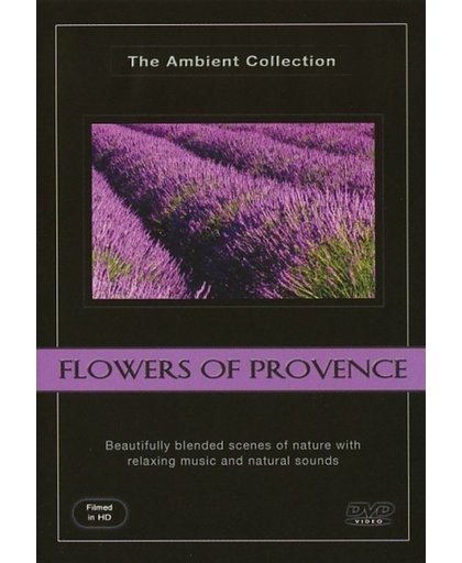 Bloemen van de Provence