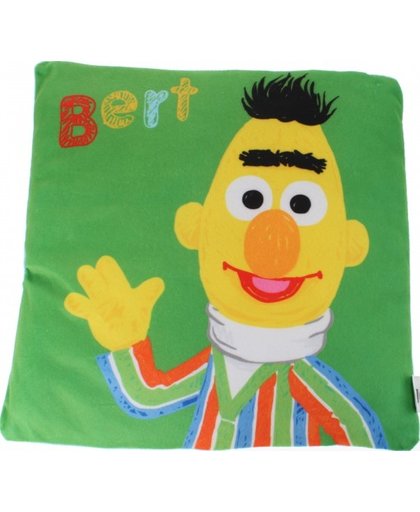 Sesamstraat kussen Bert 35 x 35 cm groen