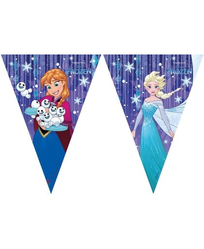 Disney vlaggenlijn Frozen 300 cm