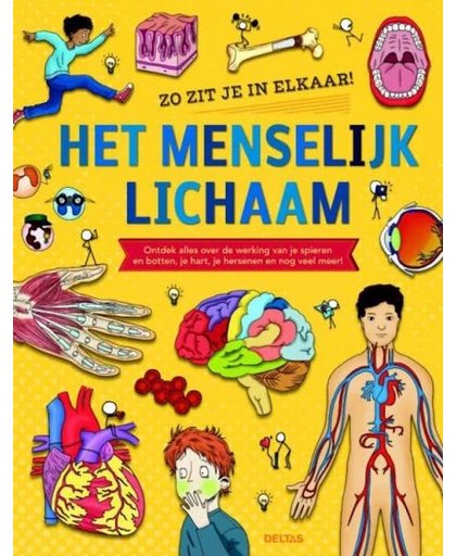 Deltas educatief boek Het menselijk lichaam 28 cm.