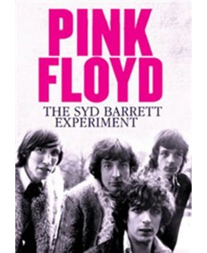 The Syd Barrett Experiment