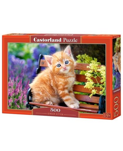 Castorland legpuzzel Ginger kitten 500 stukjes