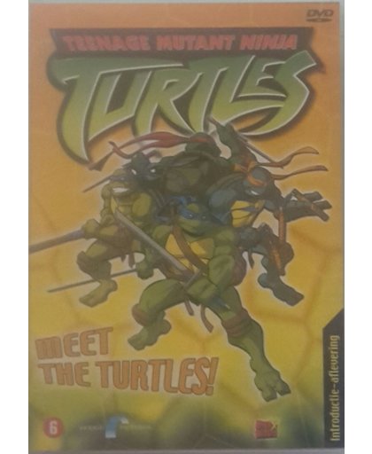 Teenage Mutant Ninja Turtles - Meet The Turtles