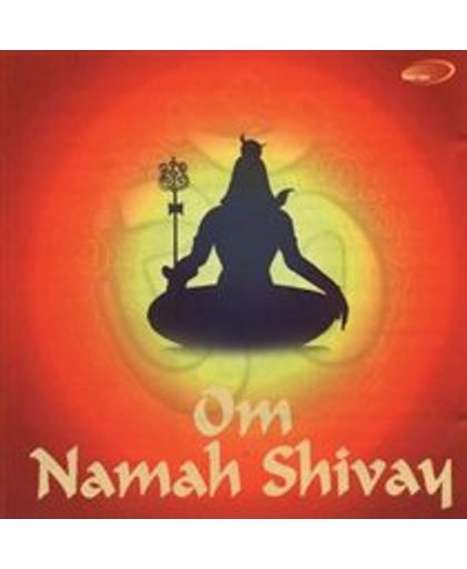 Om Namah Shivay - Indian Devotional Music