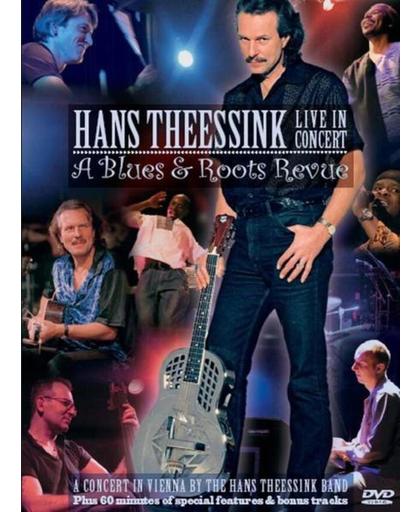 Hans Theessink - Live In Concert