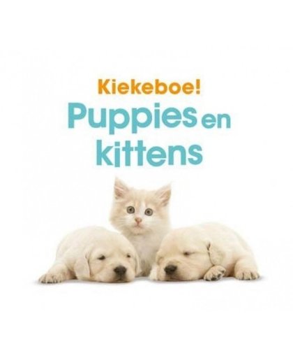 Memphis Belle zoek en raadboek Kiekeboe! Puppies en kittens