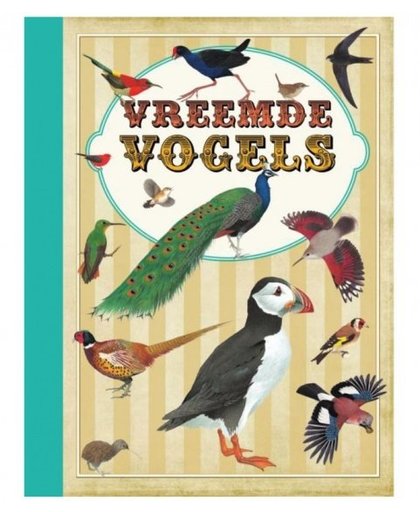 Memphis Belle boek Vreemde vogels