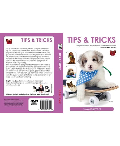 Dogtime Clickertraining - Tips & Tricks