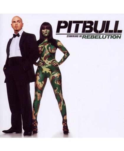 Pitbull Starring In Rebelution