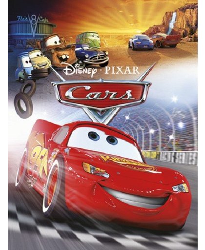 Cars Boek Disney