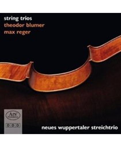 Theodor Blumer/Max Reger: String Trios