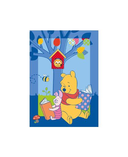 Disney Winnie the Pooh Speelkleed Story 95x133cm