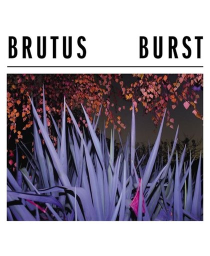 Burst -Coloured-