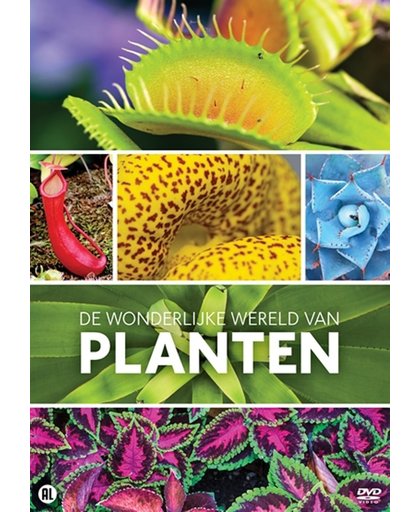 Wonderlijke Wereld Van Planten