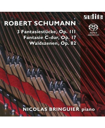 Schumann: Fantasie C-Dur, Waldszene