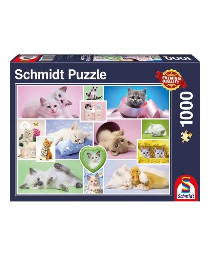 Cuddly cats puzzel - 1000 stukjes
