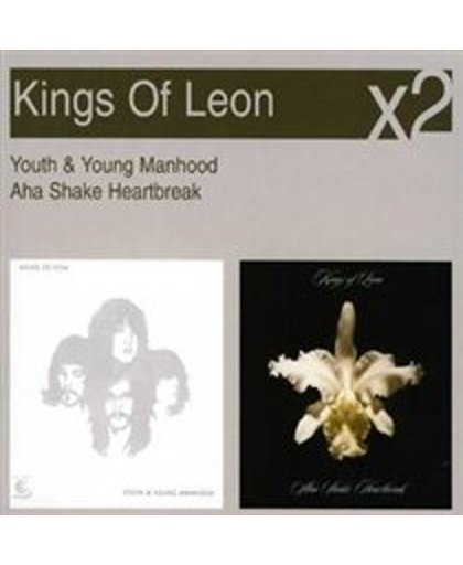 Youth And Young Manhood / Aha Shake Heartbreak