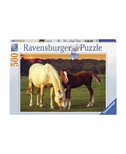 Ravensburger puzzel Mooie paarden 500 stukjes