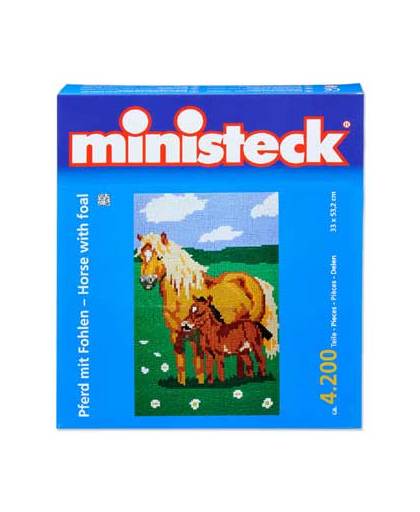 Ministeck paard met veulen