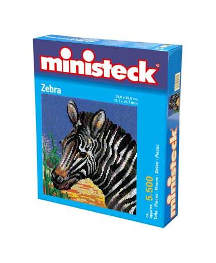 Ministeck zebra