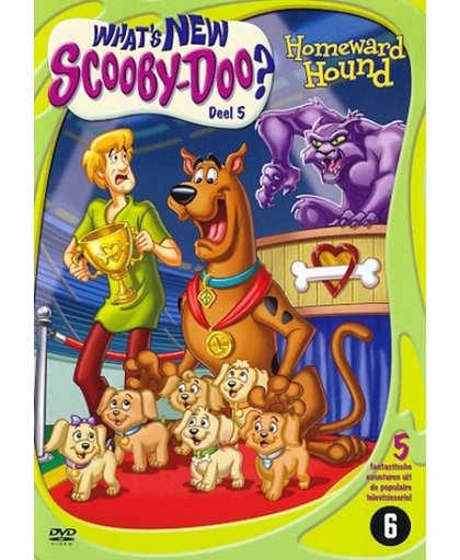 What's New Scooby Doo 5