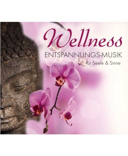 Wellness Entspannungs Musik Fur Seele & Sinne