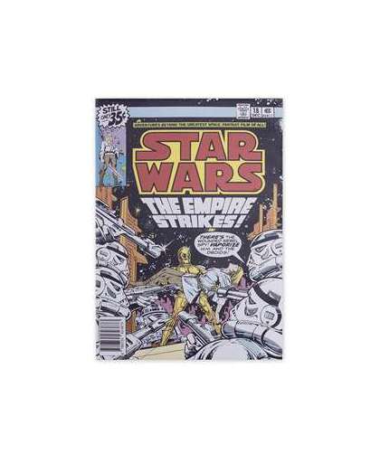 Star Wars canvas The Empire Strikes - 70 x 50 cm