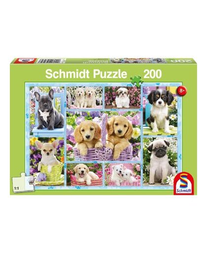 Puppies puzzel - 200 stukjes