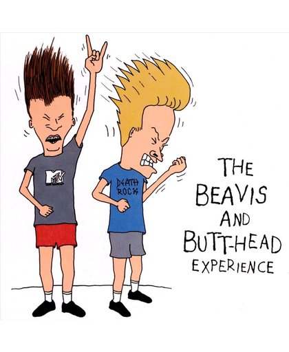 The Beavis And Butt-Head Experience