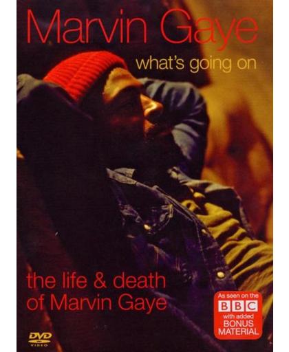 Marvin Gaye - What's Going On:The Life & Death Of Marvin Gaye