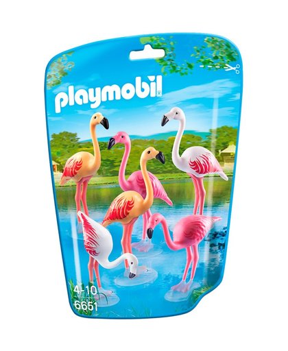 City Life - Groep flamingo's