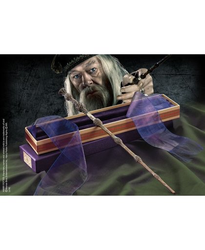 Harry Potter: Dumbledore's Wand