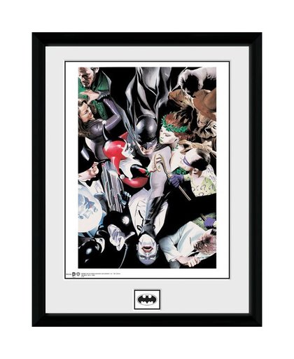 DC Comics: Batman - Villains 30 x 40 cm