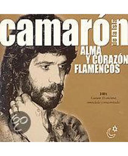 Alma y Corazon Flamencos