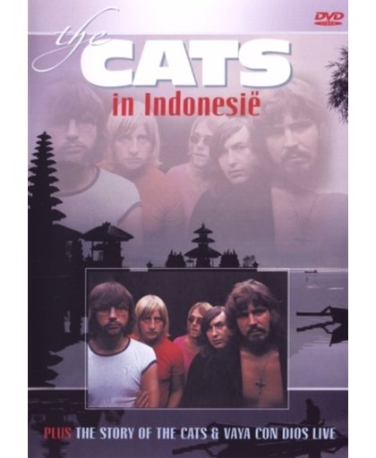 Cats - In Indonesië