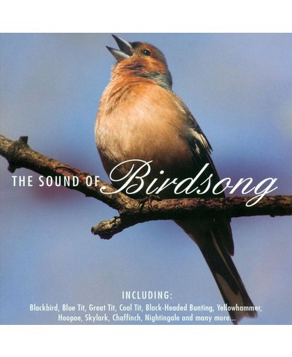 The Sound of Birdsong Field Recordings