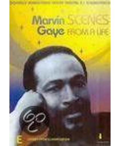 Marvin Gaye: Scenes from a Life