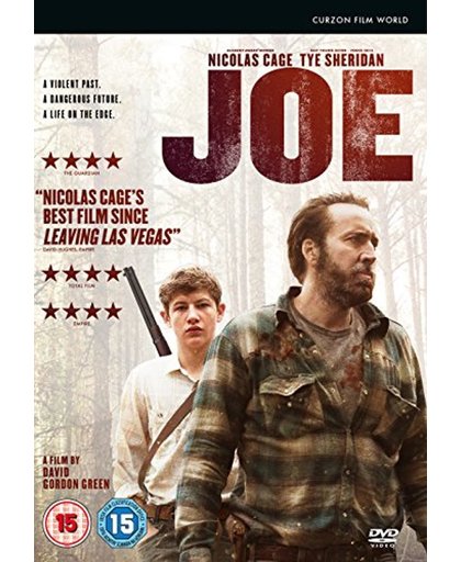 Joe (2013)