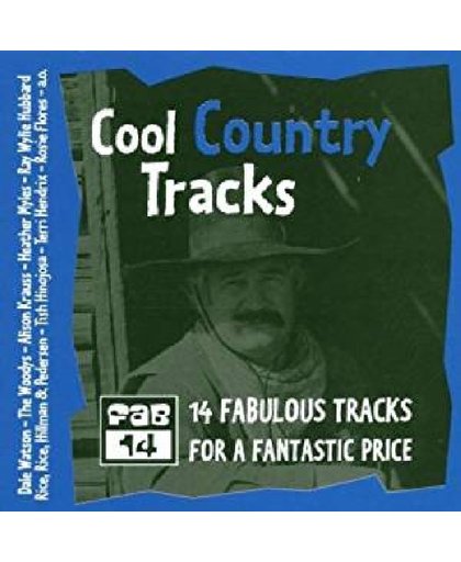 Cool Country Tracks: Country 1