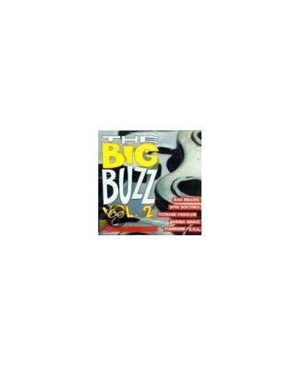 The Big Buzz volume 2