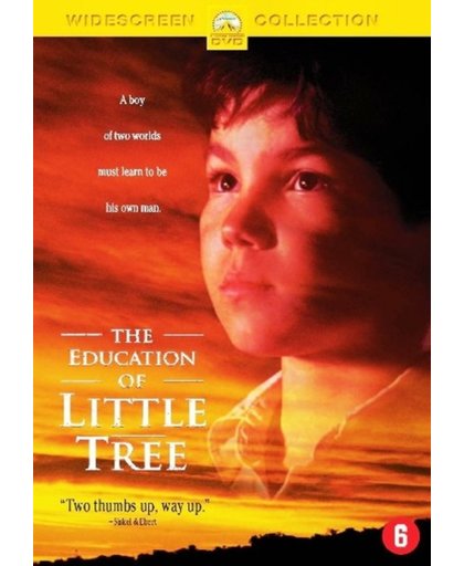 Education Of Little Tree